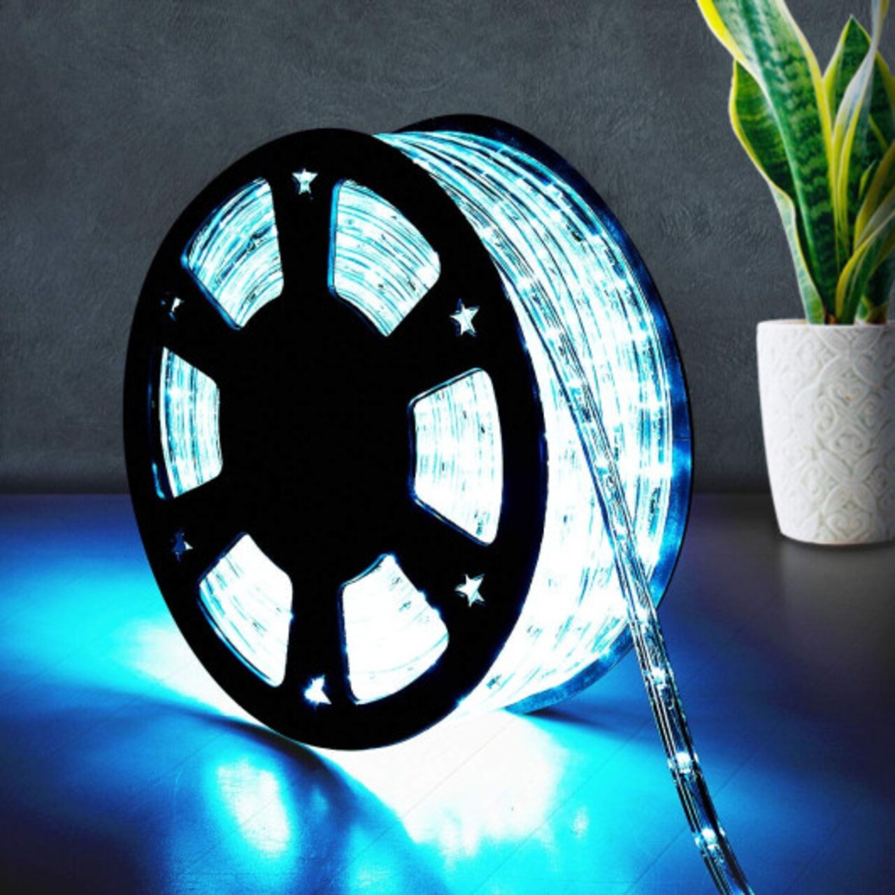 "100ft LED Rope Light, 11 Bulbs/Ft, PVC Tubing, Indoor/Outdoor, Flexible and Cuttable with Connectors